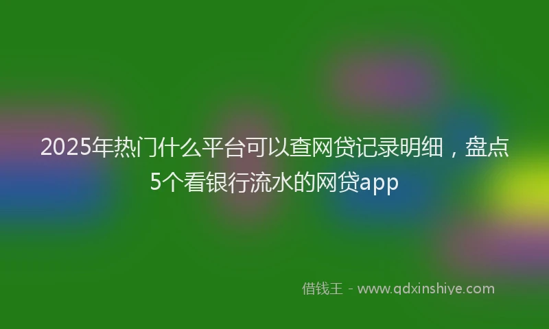 2025年热门什么平台可以查网贷记录明细，盘点5个看银行流水的网贷app