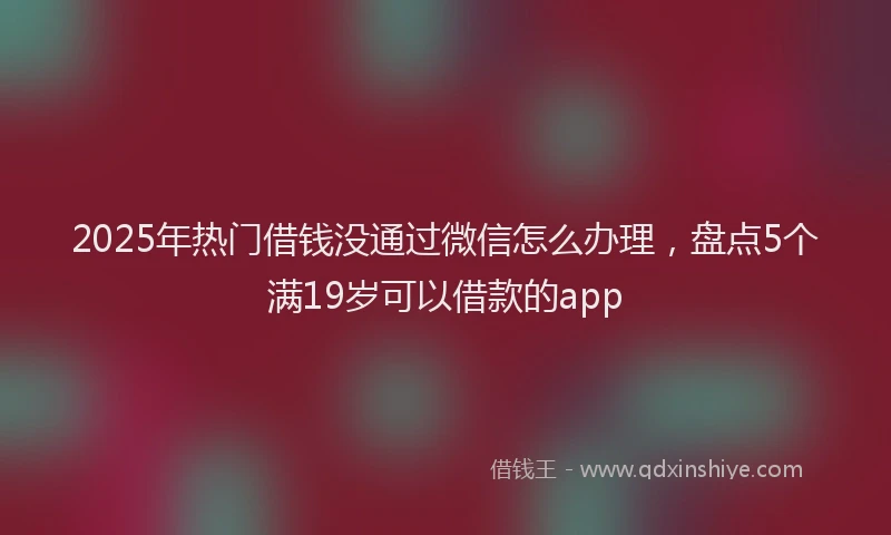 2025年热门借钱没通过微信怎么办理，盘点5个满19岁可以借款的app