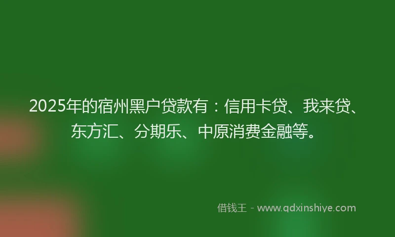 2025年的宿州黑户贷款有：信用卡贷、我来贷、东方汇、分期乐、中原消费金融等。