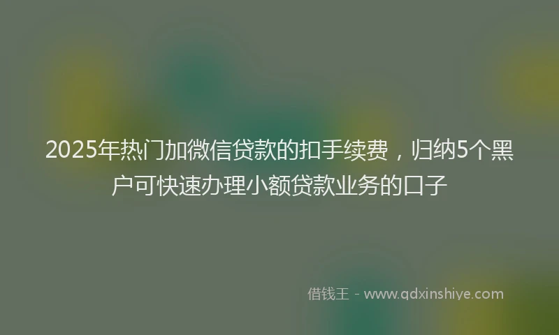 2025年热门加微信贷款的扣手续费，归纳5个黑户可快速办理小额贷款业务的口子