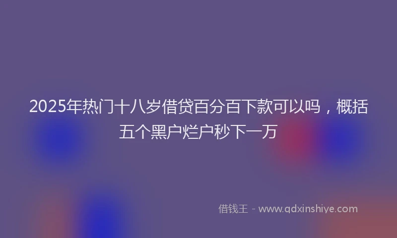 2025年热门十八岁借贷百分百下款可以吗，概括五个黑户烂户秒下一万