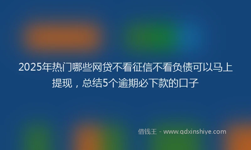 2025年热门哪些网贷不看征信不看负债可以马上提现，总结5个逾期必下款的口子