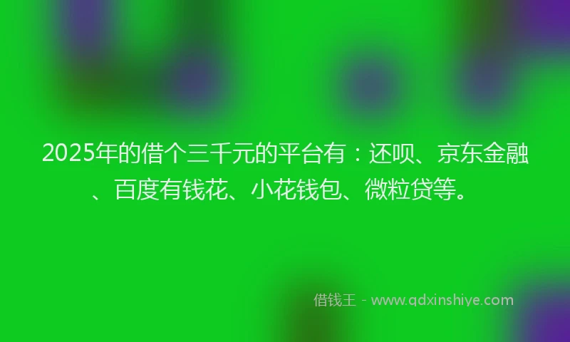 2025年的借个三千元的平台有：还呗、京东金融、百度有钱花、小花钱包、微粒贷等。