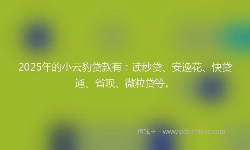 2025年的小云豹贷款有：读秒贷、安逸花、快贷通、省呗、微粒贷等。