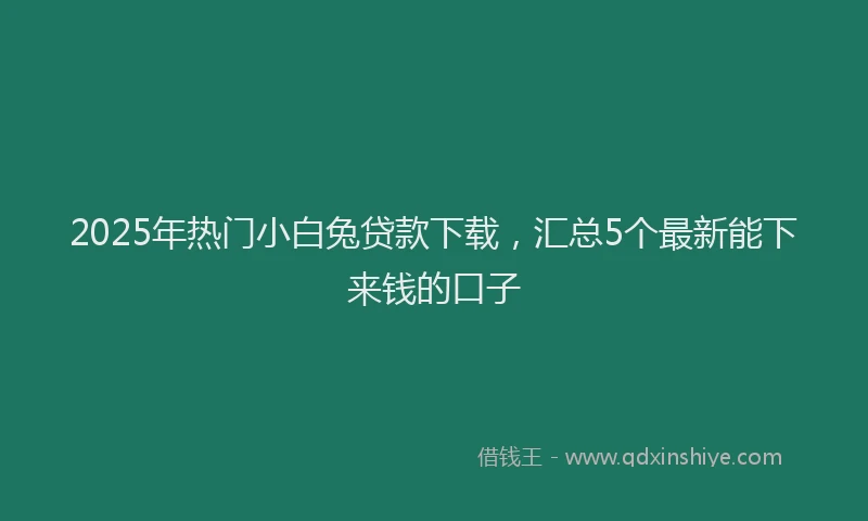 2025年热门小白兔贷款下载，汇总5个最新能下来钱的口子