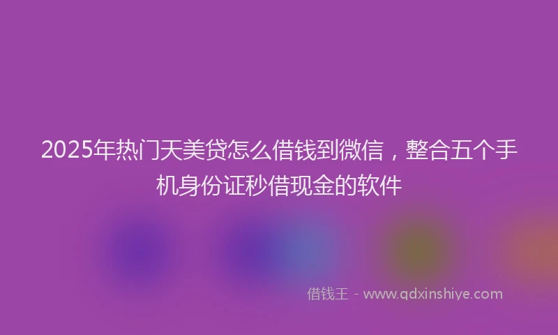 2025年热门天美贷怎么借钱到微信，整合五个手机身份证秒借现金的软件