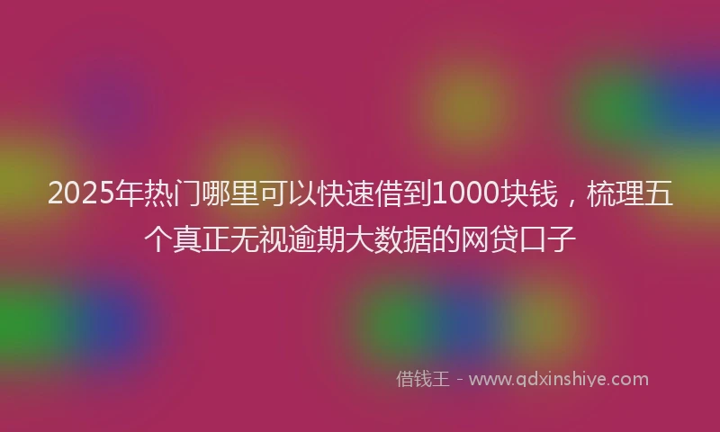 2025年热门哪里可以快速借到1000块钱，梳理五个真正无视逾期大数据的网贷口子
