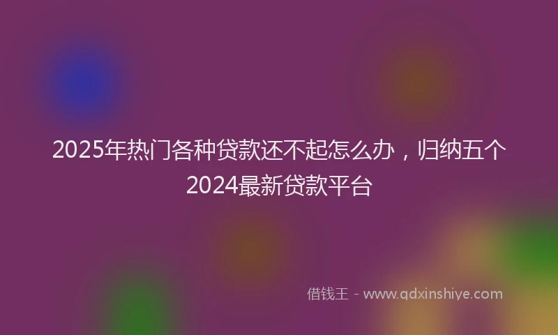2025年热门各种贷款还不起怎么办，归纳五个2024最新贷款平台