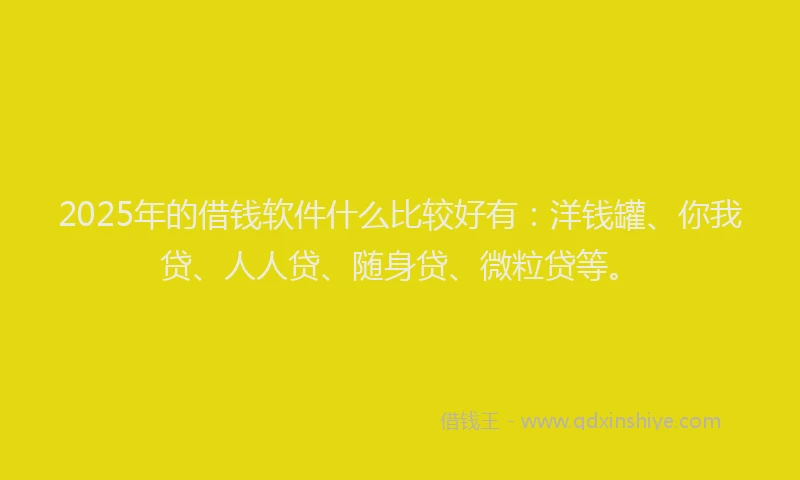2025年的借钱软件什么比较好有：洋钱罐、你我贷、人人贷、随身贷、微粒贷等。