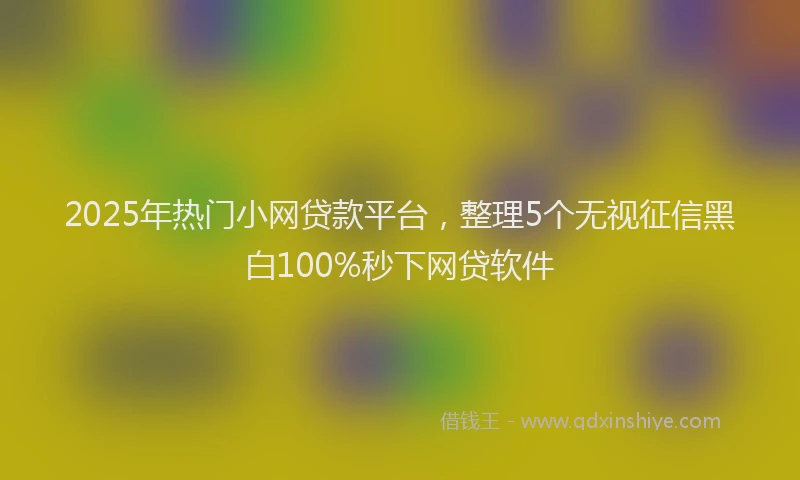 2025年热门小网贷款平台，整理5个无视征信黑白100%秒下网贷软件