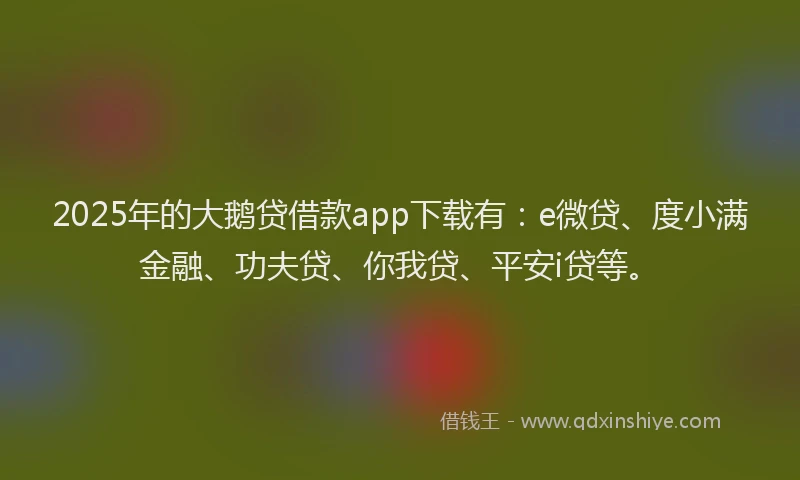 2025年的大鹅贷借款app下载有：e微贷、度小满金融、功夫贷、你我贷、平安i贷等。