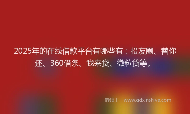 2025年的在线借款平台有哪些有：投友圈、替你还、360借条、我来贷、微粒贷等。