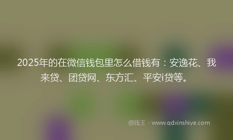 2025年的在微信钱包里怎么借钱有：安逸花、我来贷、团贷网、东方汇、平安i贷等。
