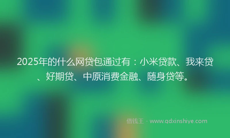 2025年的什么网贷包通过有：小米贷款、我来贷、好期贷、中原消费金融、随身贷等。