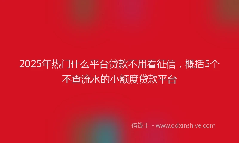 2025年热门什么平台贷款不用看征信，概括5个不查流水的小额度贷款平台