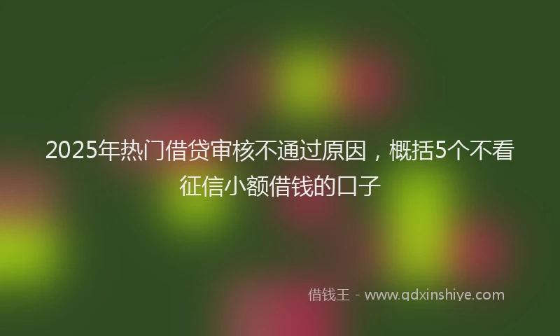 2025年热门借贷审核不通过原因，概括5个不看征信小额借钱的口子