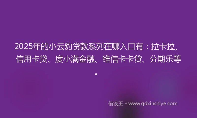 2025年的小云豹贷款系列在哪入口有：拉卡拉、信用卡贷、度小满金融、维信卡卡贷、分期乐等。