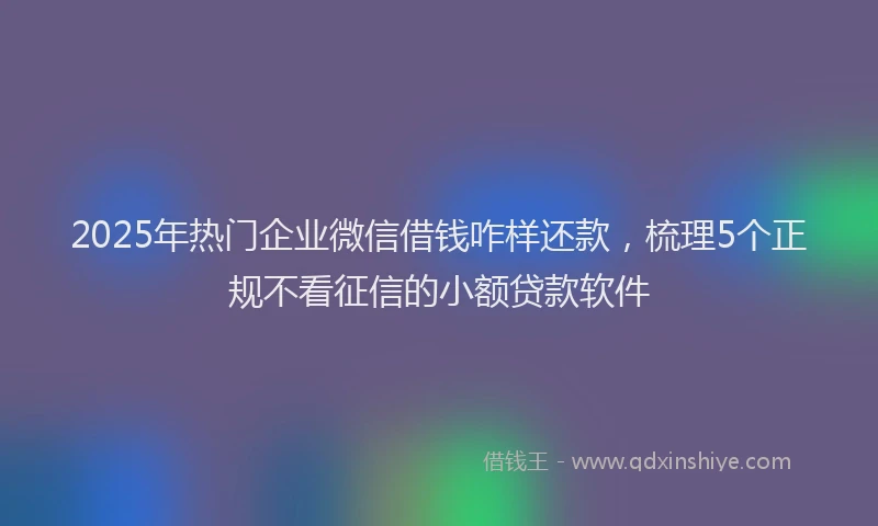 2025年热门企业微信借钱咋样还款，梳理5个正规不看征信的小额贷款软件