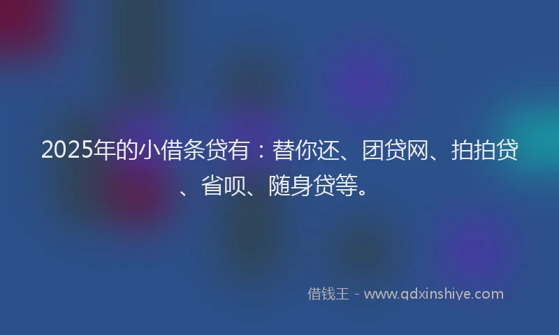 2025年的小借条贷有：替你还、团贷网、拍拍贷、省呗、随身贷等。