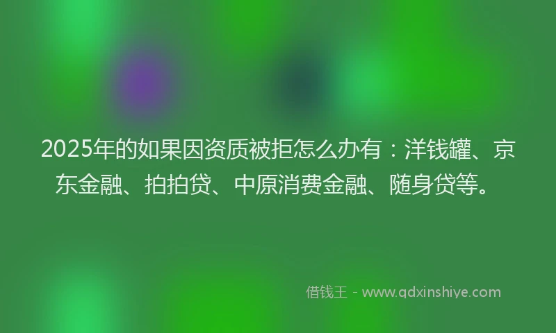 2025年的如果因资质被拒怎么办有：洋钱罐、京东金融、拍拍贷、中原消费金融、随身贷等。