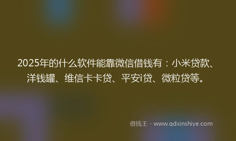 2025年的什么软件能靠微信借钱有：小米贷款、洋钱罐、维信卡卡贷、平安i贷、微粒贷等。