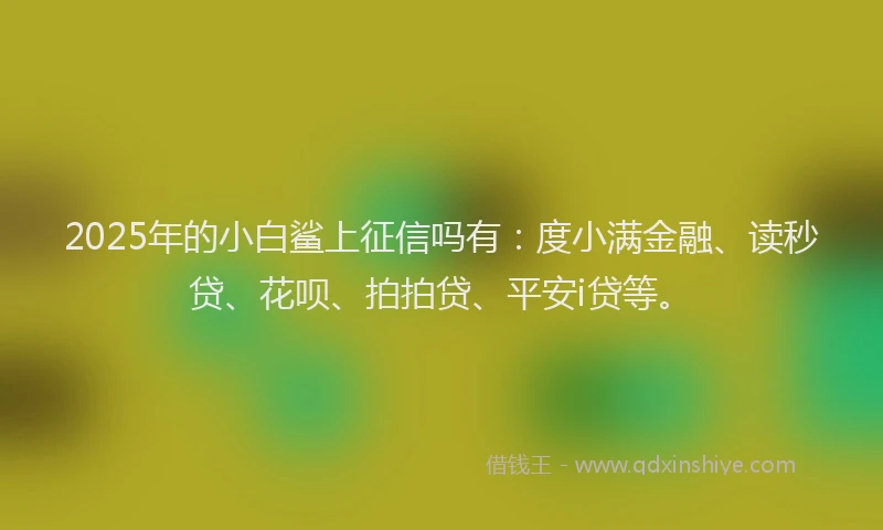 2025年的小白鲨上征信吗有：度小满金融、读秒贷、花呗、拍拍贷、平安i贷等。
