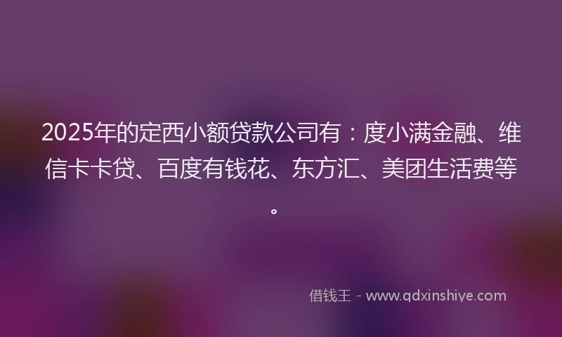 2025年的定西小额贷款公司有：度小满金融、维信卡卡贷、百度有钱花、东方汇、美团生活费等。