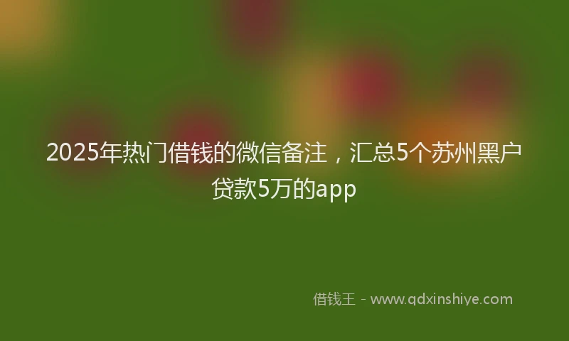 2025年热门借钱的微信备注，汇总5个苏州黑户贷款5万的app