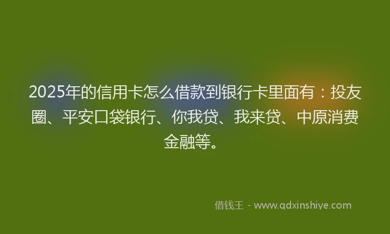 2025年的信用卡怎么借款到银行卡里面有：投友圈、平安口袋银行、你我贷、我来贷、中原消费金融等。