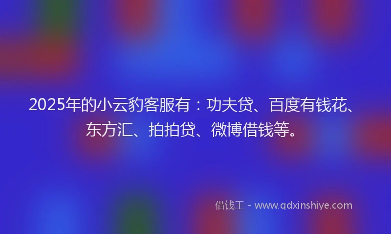 2025年的小云豹客服有：功夫贷、百度有钱花、东方汇、拍拍贷、微博借钱等。