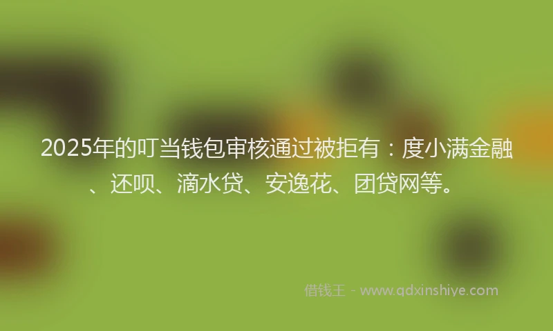 2025年的叮当钱包审核通过被拒有：度小满金融、还呗、滴水贷、安逸花、团贷网等。