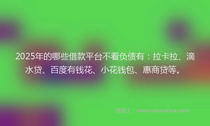 2025年的哪些借款平台不看负债有：拉卡拉、滴水贷、百度有钱花、小花钱包、惠商贷等。