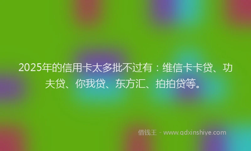 2025年的信用卡太多批不过有：维信卡卡贷、功夫贷、你我贷、东方汇、拍拍贷等。