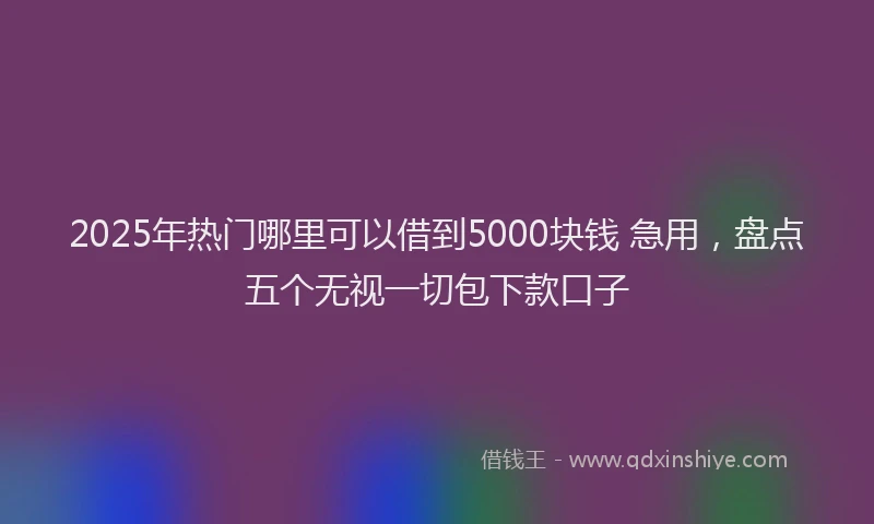 2025年热门哪里可以借到5000块钱 急用，盘点五个无视一切包下款口子