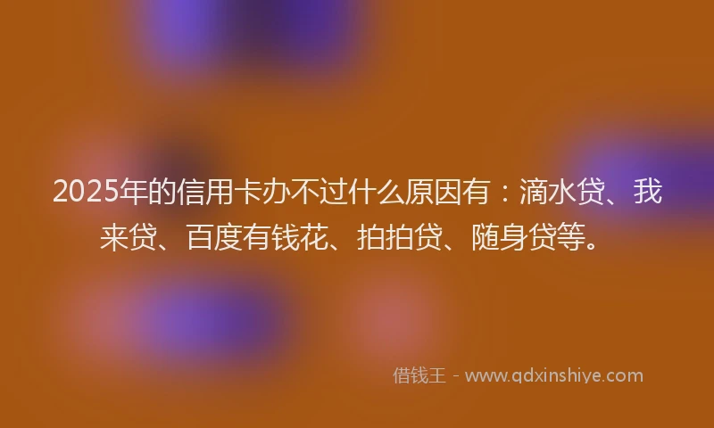 2025年的信用卡办不过什么原因有：滴水贷、我来贷、百度有钱花、拍拍贷、随身贷等。
