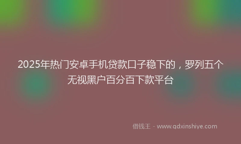 2025年热门安卓手机贷款口子稳下的，罗列五个无视黑户百分百下款平台