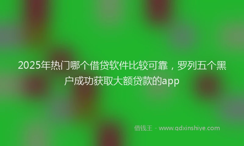 2025年热门哪个借贷软件比较可靠，罗列五个黑户成功获取大额贷款的app