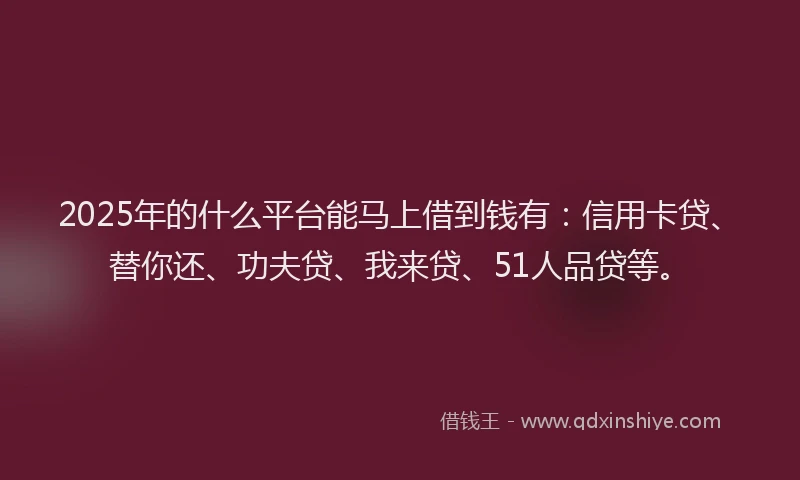 2025年的什么平台能马上借到钱有：信用卡贷、替你还、功夫贷、我来贷、51人品贷等。