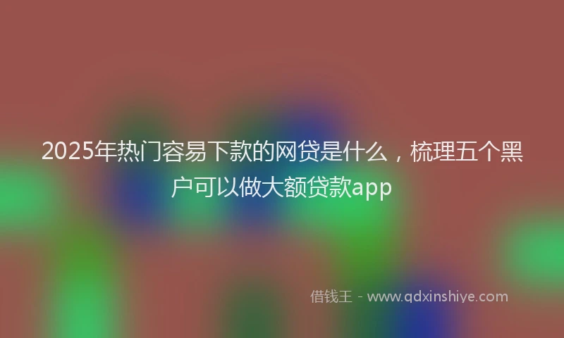 2025年热门容易下款的网贷是什么，梳理五个黑户可以做大额贷款app