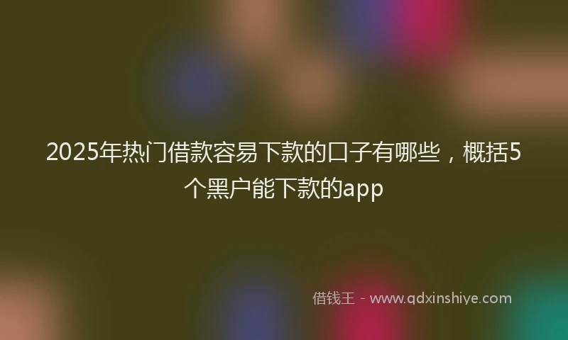 2025年热门借款容易下款的口子有哪些，概括5个黑户能下款的app