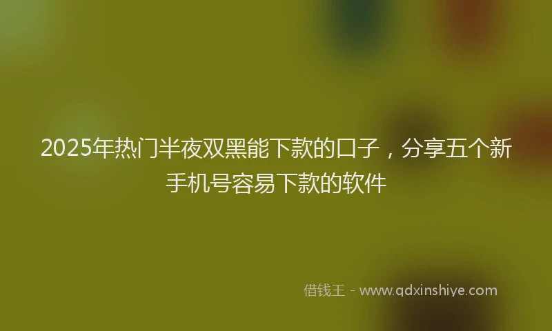 2025年热门半夜双黑能下款的口子，分享五个新手机号容易下款的软件