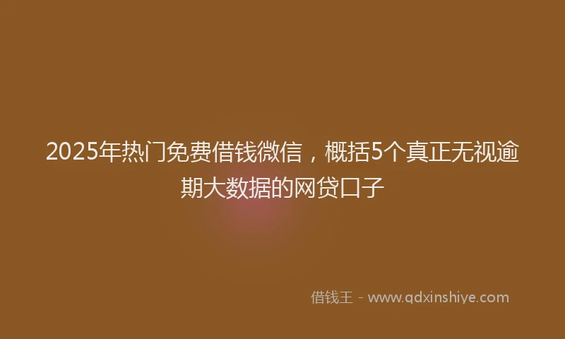 2025年热门免费借钱微信，概括5个真正无视逾期大数据的网贷口子