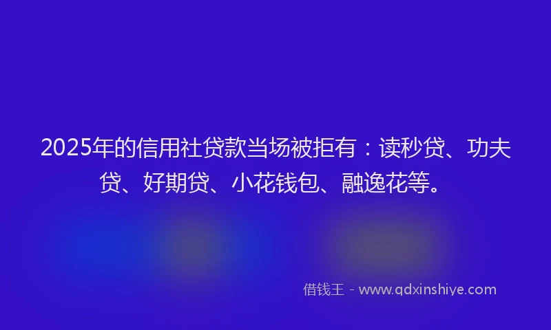 2025年的信用社贷款当场被拒有：读秒贷、功夫贷、好期贷、小花钱包、融逸花等。