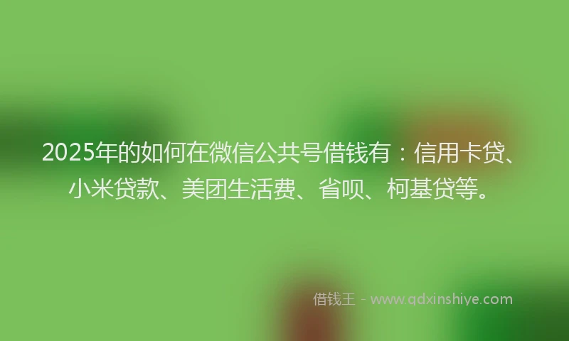 2025年的如何在微信公共号借钱有：信用卡贷、小米贷款、美团生活费、省呗、柯基贷等。