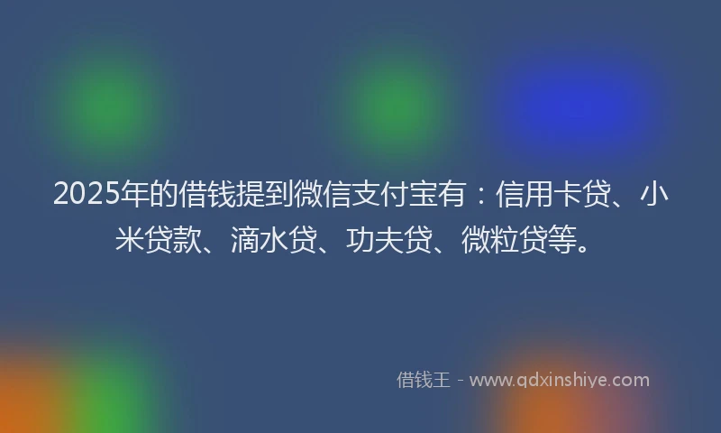 2025年的借钱提到微信支付宝有：信用卡贷、小米贷款、滴水贷、功夫贷、微粒贷等。