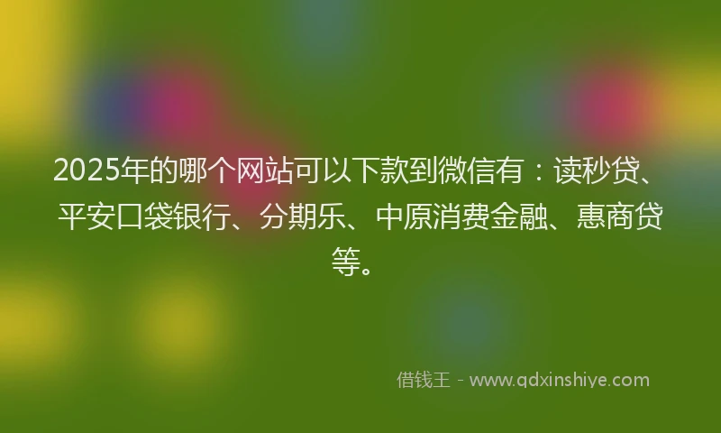 2025年的哪个网站可以下款到微信有：读秒贷、平安口袋银行、分期乐、中原消费金融、惠商贷等。