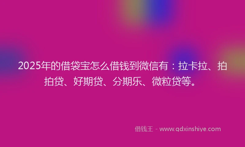 2025年的借袋宝怎么借钱到微信有：拉卡拉、拍拍贷、好期贷、分期乐、微粒贷等。