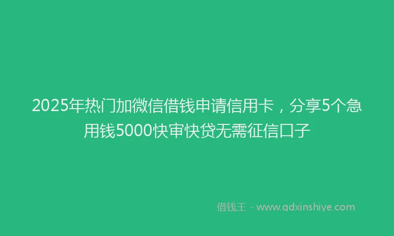 2025年热门加微信借钱申请信用卡，分享5个急用钱5000快审快贷无需征信口子
