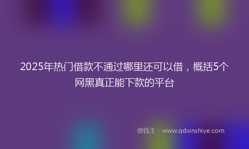 2025年热门借款不通过哪里还可以借，概括5个网黑真正能下款的平台