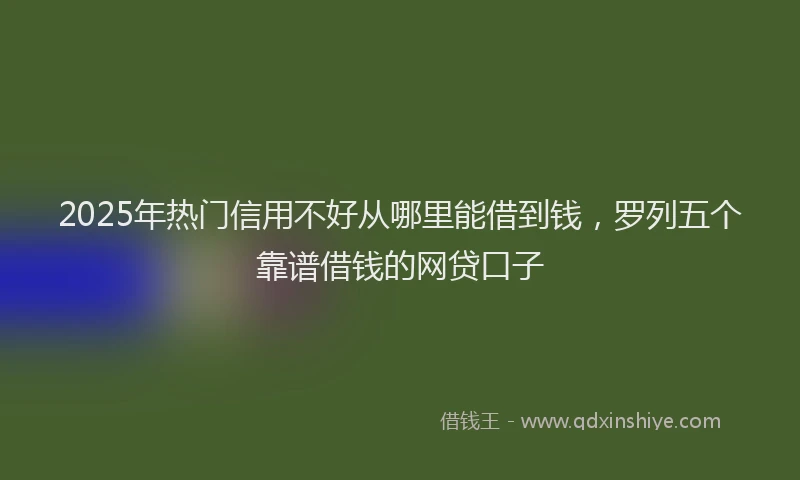 2025年热门信用不好从哪里能借到钱，罗列五个靠谱借钱的网贷口子